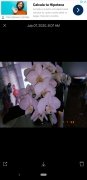 Huji Cam 画像 7 Thumbnail