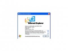 Internet Explorer 6 imagen 2 Thumbnail