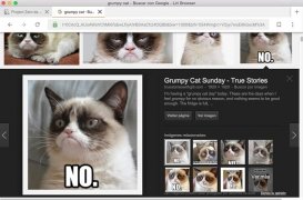 Liri Browser imagem 4 Thumbnail