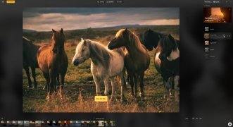 Luminar image 11 Thumbnail