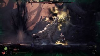Mandragora: Whispers of the Witch Tree image 8 Thumbnail