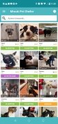 Miwuki Pet Shelter imagen 3 Thumbnail