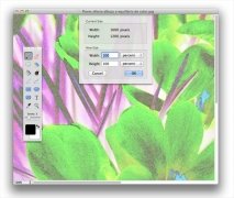 download paintbrush for mac free