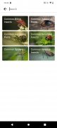 Picture Insect Изображение 12 Thumbnail