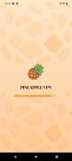 Pineapple Proxy imagen 2 Thumbnail