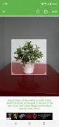 PlantSnap 画像 3 Thumbnail