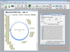 serial cloner clone in oligo