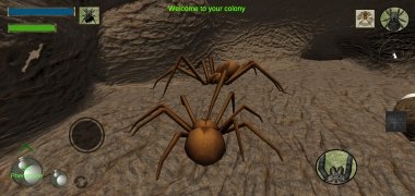 Spider Nest Simulator imagem 6 Thumbnail