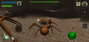 Spider Nest Simulator bild 7 Thumbnail