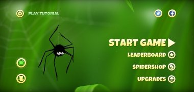 Spider Trouble image 3 Thumbnail