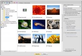 for ios download StudioLine Photo Basic / Pro 5.0.6