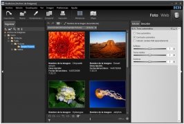 download the new StudioLine Photo Basic / Pro 5.0.6
