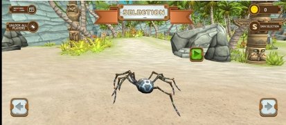 Tarantula Spider Life 画像 3 Thumbnail