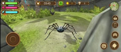 Tarantula Spider Life 画像 6 Thumbnail