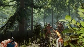 The Forest imagen 11 Thumbnail