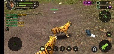 The Tiger 画像 1 Thumbnail