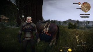 The Witcher 3: Wild Hunt imagen 14 Thumbnail