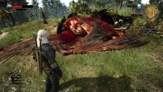 The Witcher 3: Wild Hunt image 6 Thumbnail