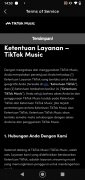 TikTok Music Изображение 6 Thumbnail
