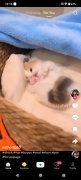TikTok Pro imagen 10 Thumbnail