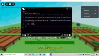 Xeno Executor image 9 Thumbnail