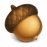 Acorn 4.5
