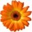 Artweaver 6.0.10