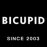 BiCupid 2.3.3