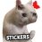 Cat Memes Stickers 2.1.1 Français