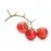 CherryTomato 1.0.0