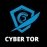 Cyber Tor 3
