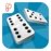 Domino Online 2021.1.0 English
