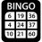 Generador Cartones Bingo 3.00 Español