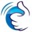 GOWEX 3.1.1 English