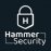 Hammer Security 23.1.3 Français