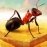 Little Ant Colony 3.4.1 Español