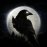 Night Crows 1.1.9 日本語