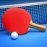 Ping Pong Fury 1.44.2.4913 English