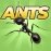 Pocket Ants 0.0699 Español