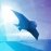 Race The Sun 1.0.1