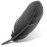 Raven 0.7.14665 Beta