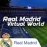Real Madrid Virtual World 1.5.17 English