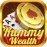Rummy Wealth 1.0 English