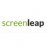 Screenleap English