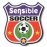Sensible Soccer 2006 Español
