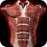 Muscular System 3D 2.0.8 English