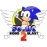 Sonic Robo Blast 2 2.2.8 English