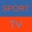 sports tv 24613 0