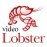 VideoLobster 1.2