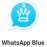 WhatsApp Blue 25.00 English